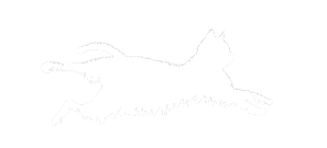 貓剪影