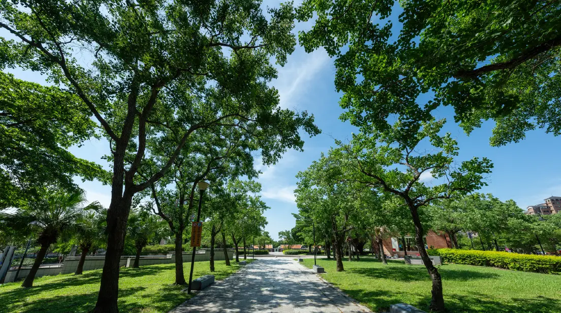 文化竹筍公園